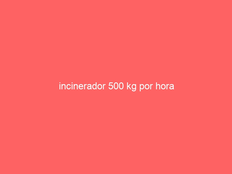 incinerador 500 kg por hora