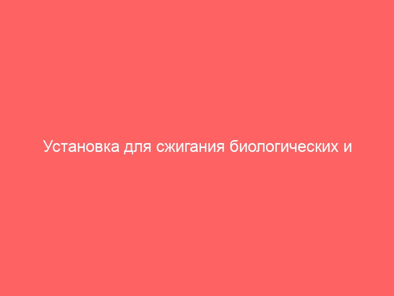 Установка для сжигания биологических и патологических отходов